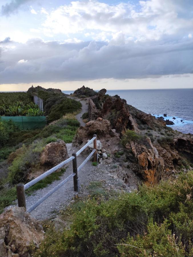 La Casita Del Sendero Leilighet La Guancha Eksteriør bilde