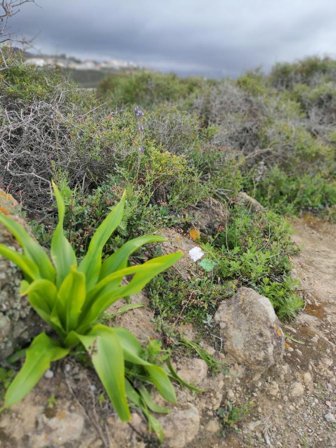 La Casita Del Sendero Leilighet La Guancha Eksteriør bilde