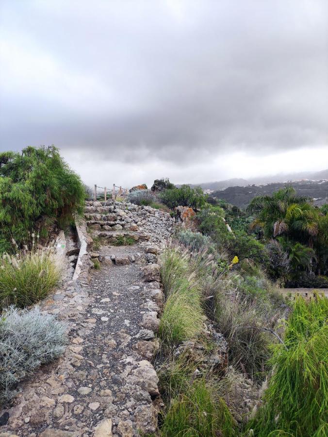 La Casita Del Sendero Leilighet La Guancha Eksteriør bilde